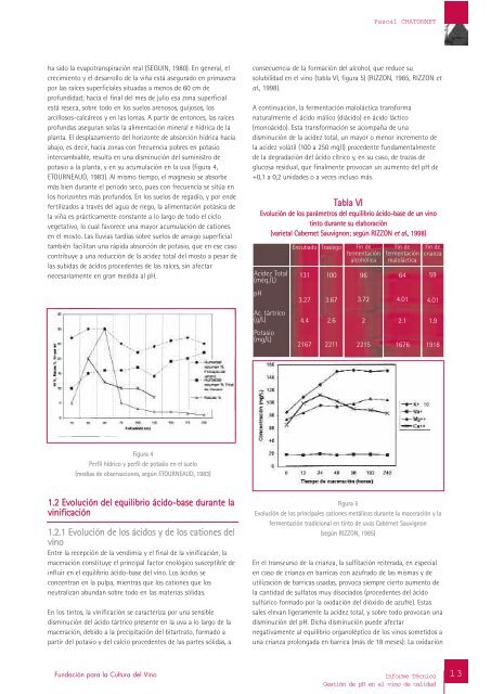 Informe TÃ©cnico GestiÃ³n de pH en el vino de calidad