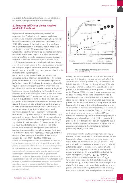 Informe TÃ©cnico GestiÃ³n de pH en el vino de calidad