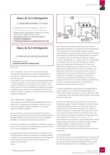 Informe TÃ©cnico GestiÃ³n de pH en el vino de calidad