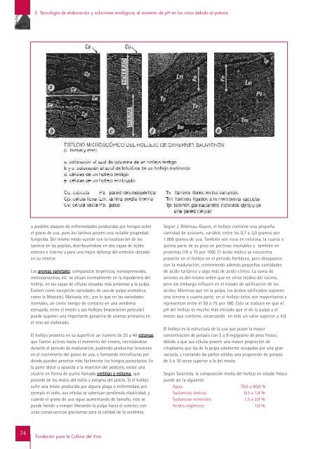 Informe TÃ©cnico GestiÃ³n de pH en el vino de calidad