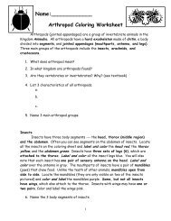 Arthropod Coloring Worksheet