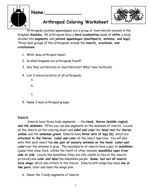 Arthropod Coloring Worksheet