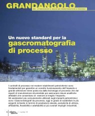 gascromatografia di processo GRANDANGOLO - Promedianet.it