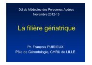 Pr Puisieux Filière gériatrique 2012 - PIRG