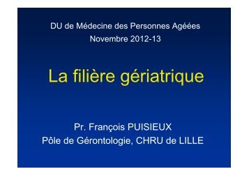 Pr Puisieux Filière gériatrique 2012 - PIRG