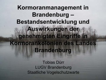 PrÃ¤sentation der Staatlichen Vogelschutzwarte