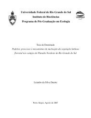 Padrões, processos e mecanismos de nucleação da vegetação ...