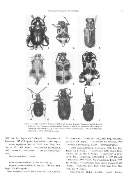 Systematic Catalog of the Chrysomelidae (Coleoptera) from Nepal ...