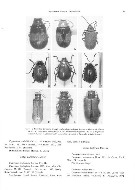 Systematic Catalog of the Chrysomelidae (Coleoptera) from Nepal ...