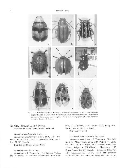 Systematic Catalog of the Chrysomelidae (Coleoptera) from Nepal ...