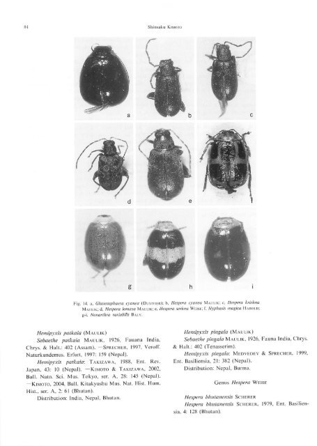 Systematic Catalog of the Chrysomelidae (Coleoptera) from Nepal ...