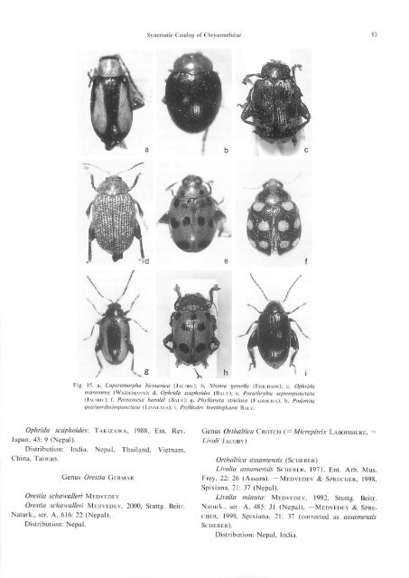 Systematic Catalog of the Chrysomelidae (Coleoptera) from Nepal ...