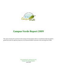 Campus Verde Report 2009 - UPRM