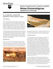 PDF En EspaÃ±ol el Acaro de la ErupciÃ³n PrurÃ­tica Papular de la Hoja