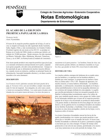 PDF En EspaÃ±ol el Acaro de la ErupciÃ³n PrurÃ­tica Papular de la Hoja