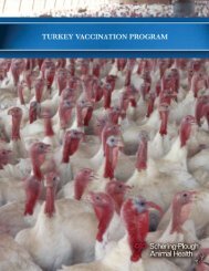 Turkey Vaccination Program - Merck Animal Health