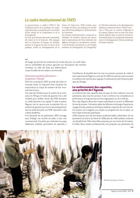 Rapport annuel 2008 - Agence FranÃƒÂ§aise de DÃƒÂ©veloppement