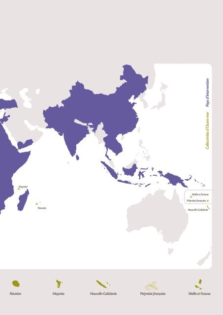 Rapport annuel 2008 - Agence FranÃƒÂ§aise de DÃƒÂ©veloppement