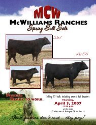 mcwilliams ranches spring bull sale - Angus Journal