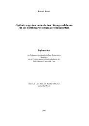 Optimierung eines numerischen Lösungsverfahrens für ein ...