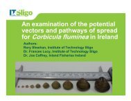 for Corbicula fluminea in Ireland - ICAIS