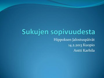 Sukujen sopivuus_Antti Karhila - Hippos