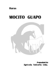 haras mocito guapo.pdf - criadores.cl