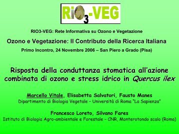 Risposta della conduttanza stomatica all'azione combinata di ozono ...