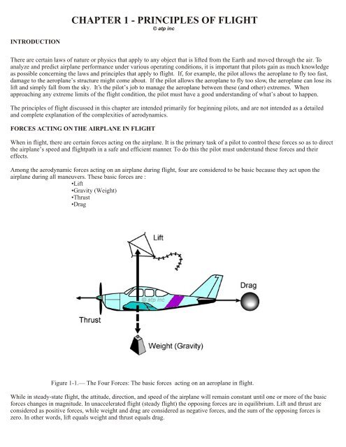 CHAPTER 1 - PRINCIPLES OF FLIGHT - Aero Training Products