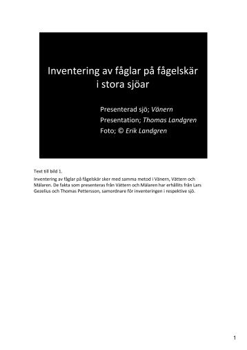 Inventering av fÃ¥glar pÃ¥ fÃ¥gelskÃ¤r i stora sjÃ¶ar