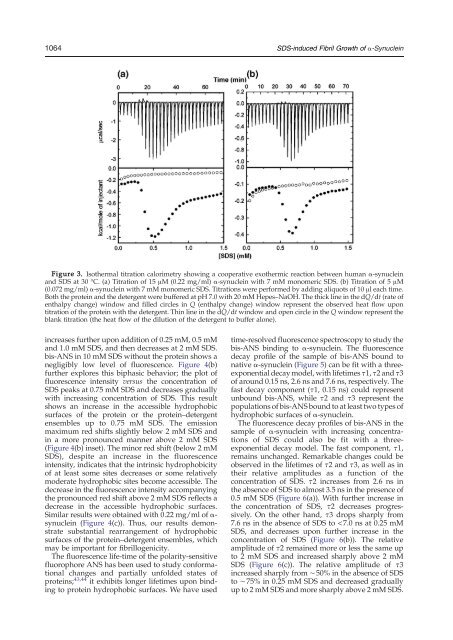 Fibrillogenic and Non-fibrillogenic Ensembles of SDS ... - CCMB