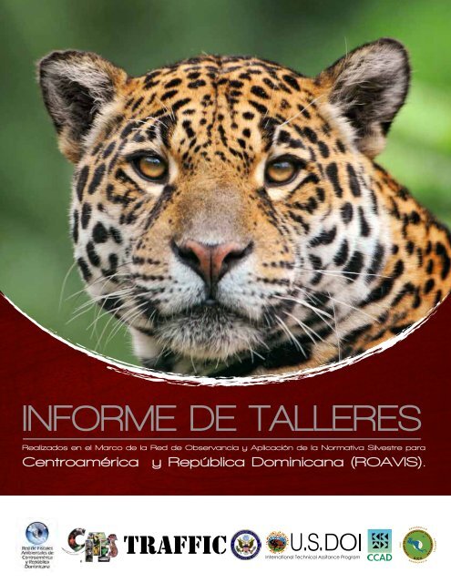 INFORME DE TALLERES - caftadr-environment.org