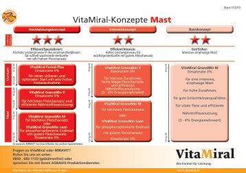 VitaMiral-Konzepte Mast
