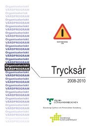 TrycksÃ¥r (pdf)