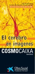 PDF Ciclo El Cerebro en ImÃ¡genes - Obra Social 