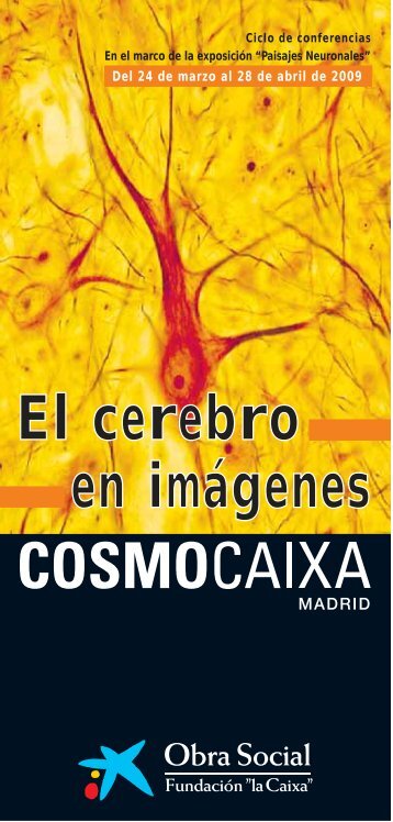 PDF Ciclo El Cerebro en ImÃ¡genes - Obra Social "la Caixa"