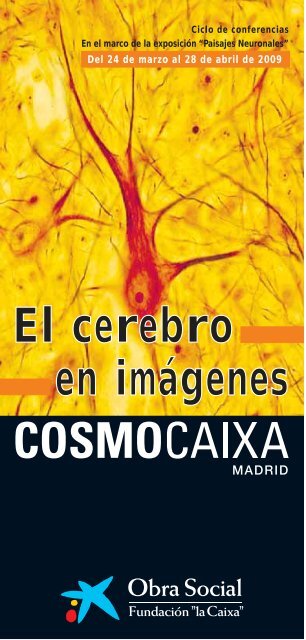 PDF Ciclo El Cerebro en ImÃ¡genes - Obra Social "la Caixa"