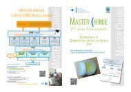 M2P 3CF (PDF) - Master Chimie - Univ-cezanne.fr