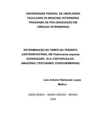 Dissertacao Lino Antonio Raimundo Lopes.pdf - Universidade ...