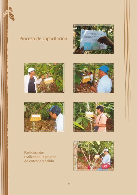 escuelas de campo para agricultores de cacao en el perÃº