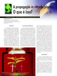 PropagaÃ§Ã£o In Vitro - Biotecnologia