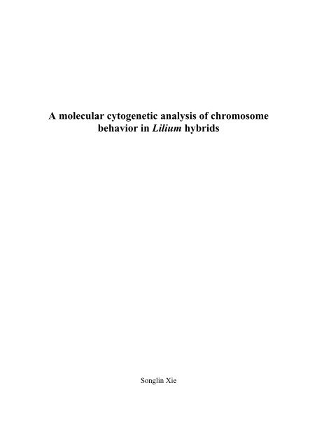 A molecular cytogenetic analysis of chromosome behavior in Lilium ...