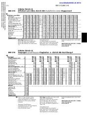 S-Bahn ZÃ¼rich Thayngen - Fahrplanfelder