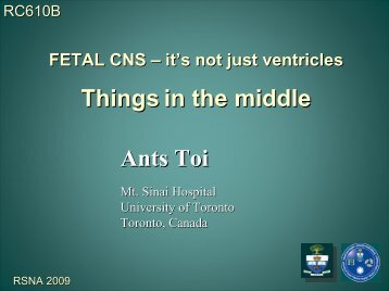 Things in the middle Ants Toi - Department of Medical Imaging