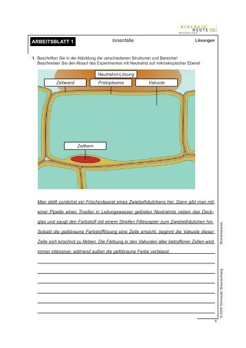 ARBEITSBLATT 1 Ionenfalle