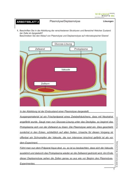 ARBEITSBLATT 1 Ionenfalle