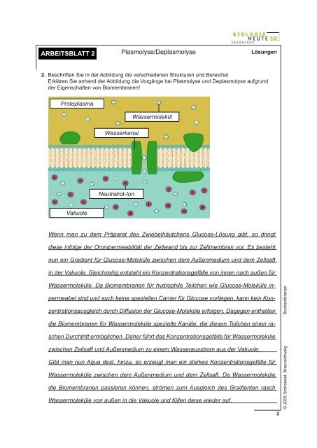 ARBEITSBLATT 1 Ionenfalle