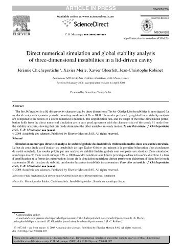 Direct numerical simulation and global stability ... - Sinumef - Ensam