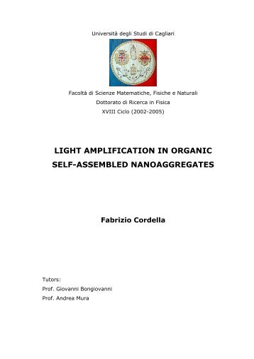 Light amplification in organic self-assembled nanoaggregates
