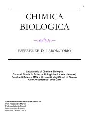 CHIMICA BIOLOGICA - Corso di Laurea in Biologia - Università ...